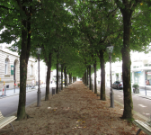 Sophienstraße